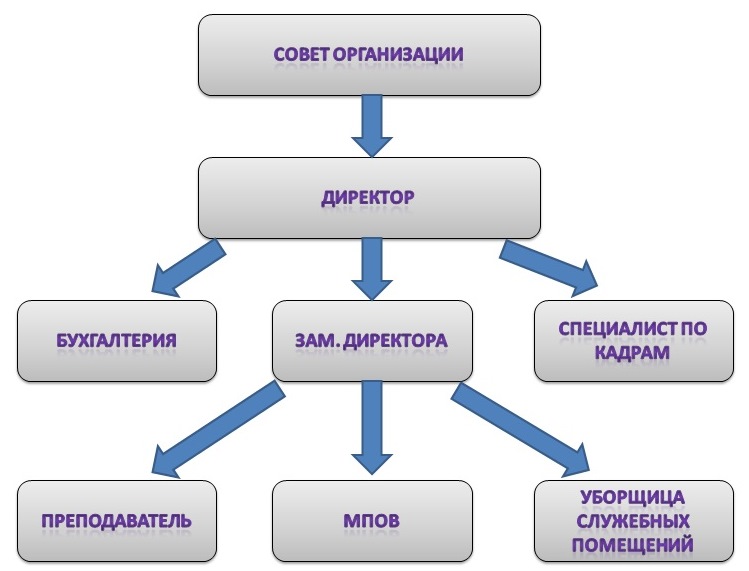 Структура некоммерческой организации схема